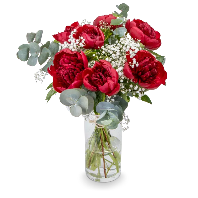 Kytice červených pivoněk